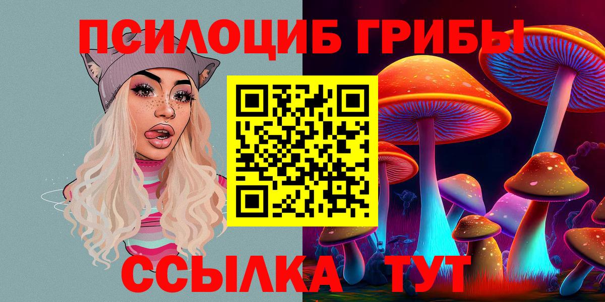 Галлюциногенные грибы Psilocybine cubensis Шарыпово